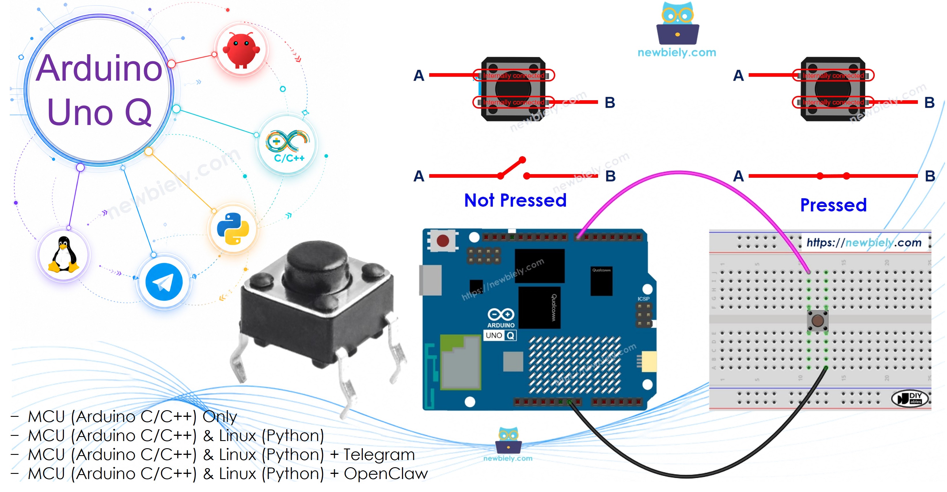 Arduino UNO Q Taster