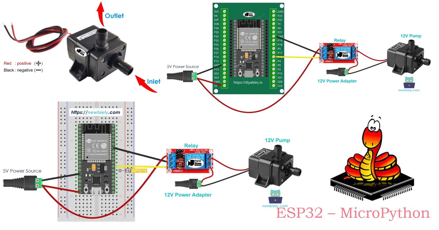 ESP32 MicroPython Pumpe
