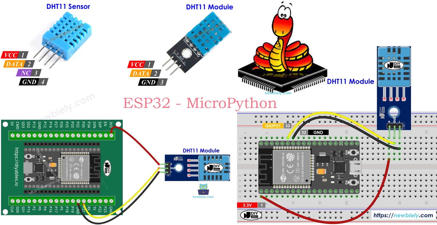 ESP32 MicroPython und DHT11-Sensormodul