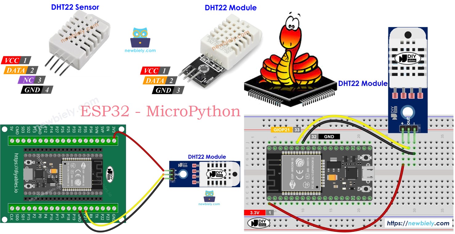 ESP32 MicroPython und DHT22-Sensormodul