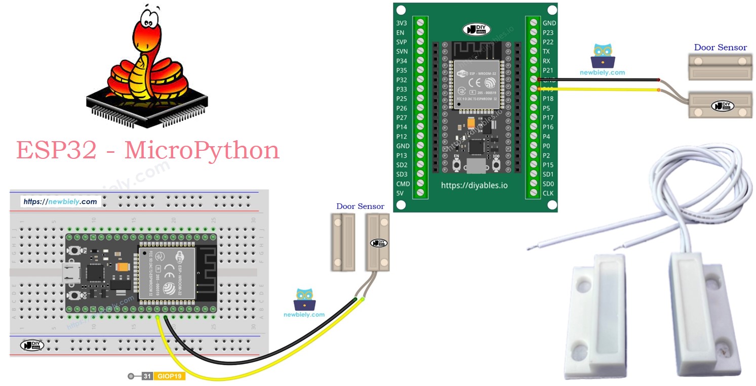 ESP32 MicroPython Türsensor
