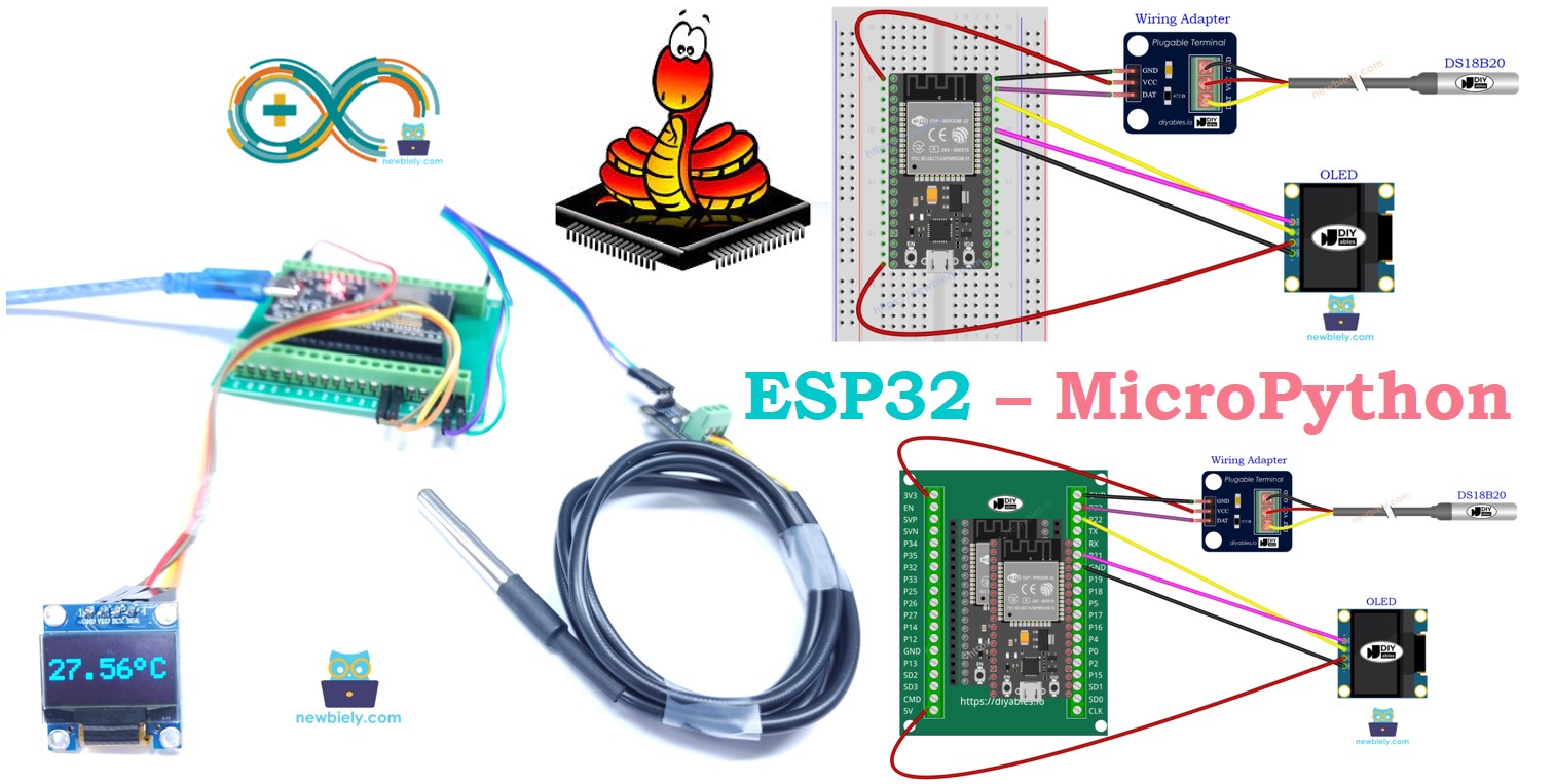 ESP32 MicroPython Temperatursensor OLED I2C