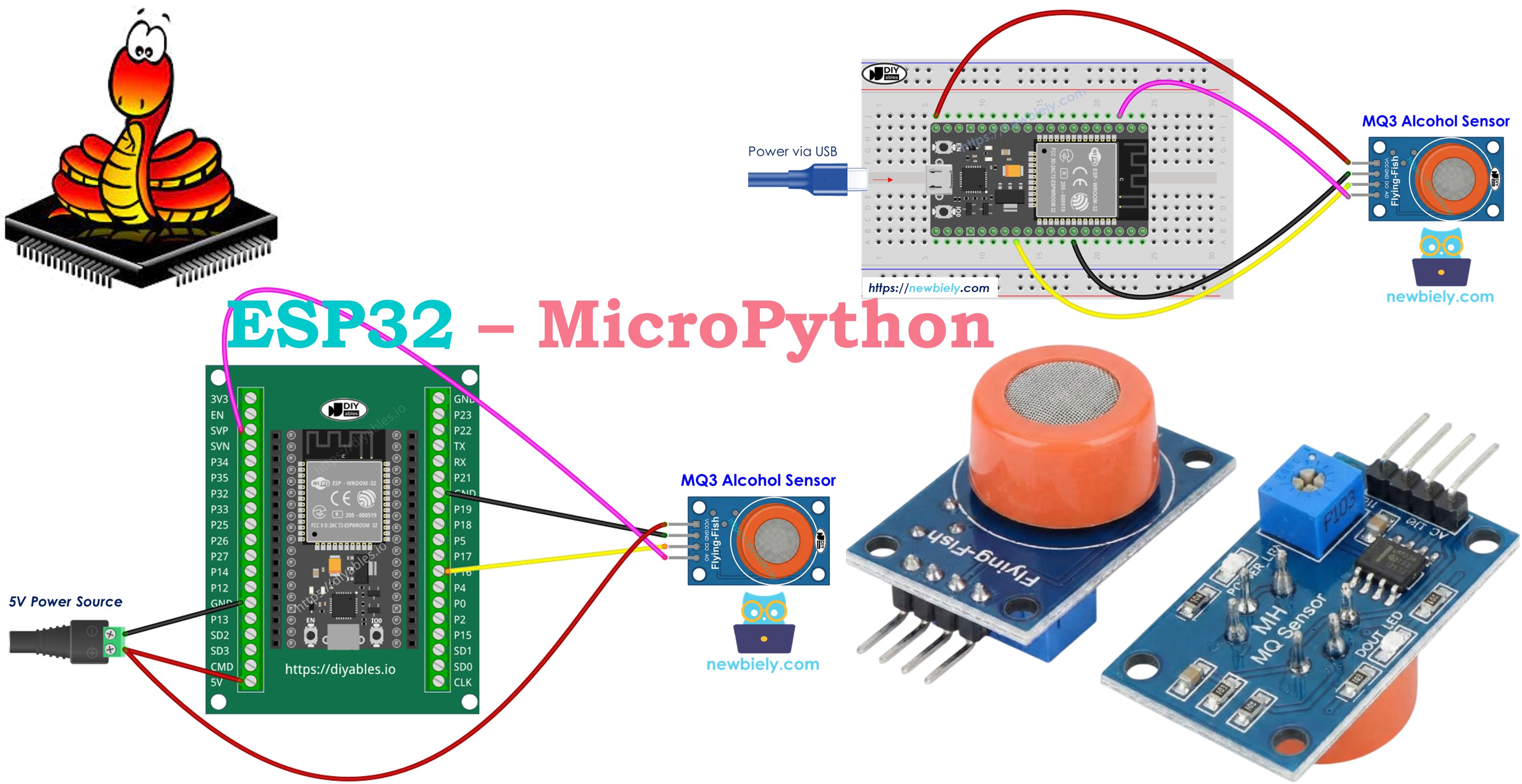 ESP32 MicroPython MQ3-Alkoholsensor