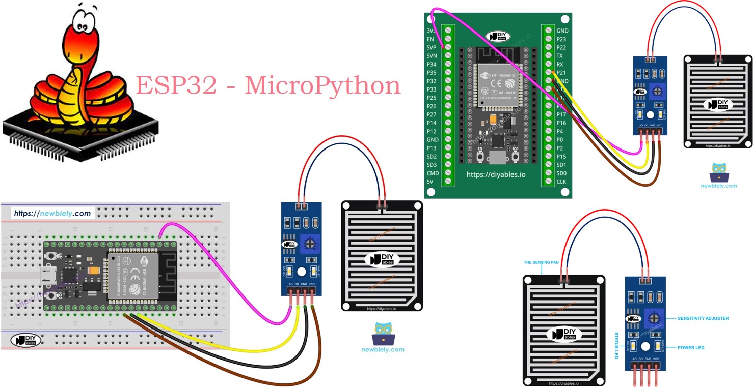 ESP32 MicroPython Regensensor