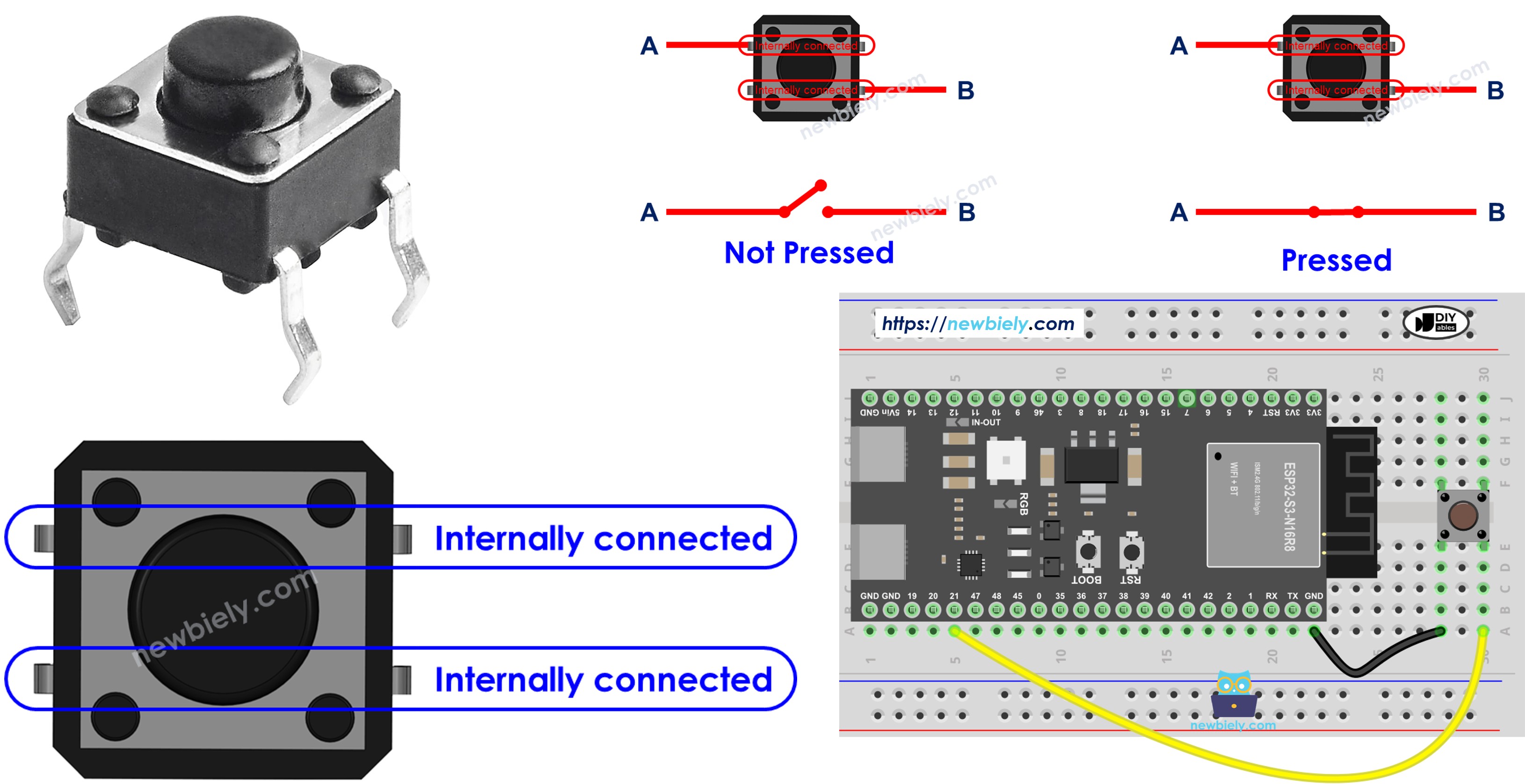 ESP32 S3 Taster