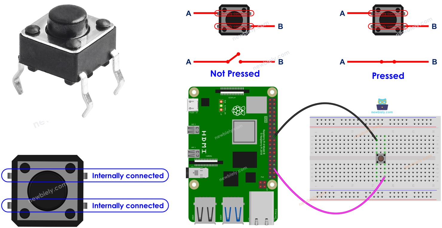 Raspberry Pi Taster
