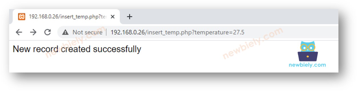 MySQL-Test