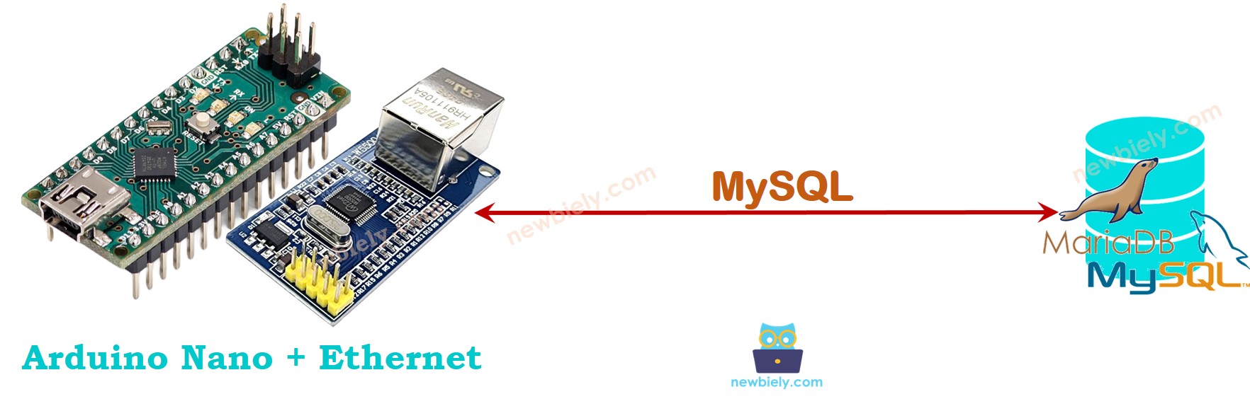 Arduino direkt zu MySQL