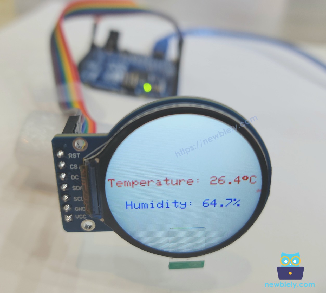 Arduino rundes TFT-LCD-Display zeigt Text und Zahl.