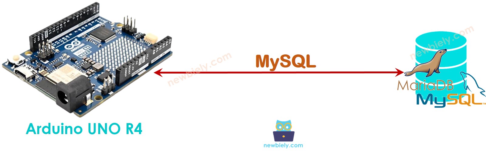 Arduino direkt zu MySQL