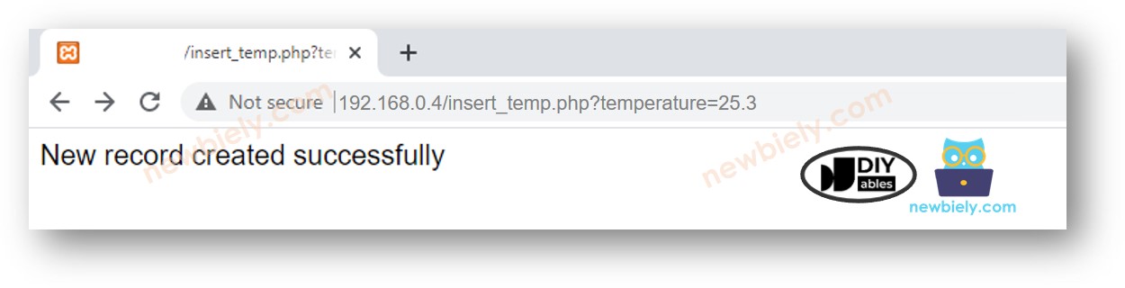 MySQL-Test