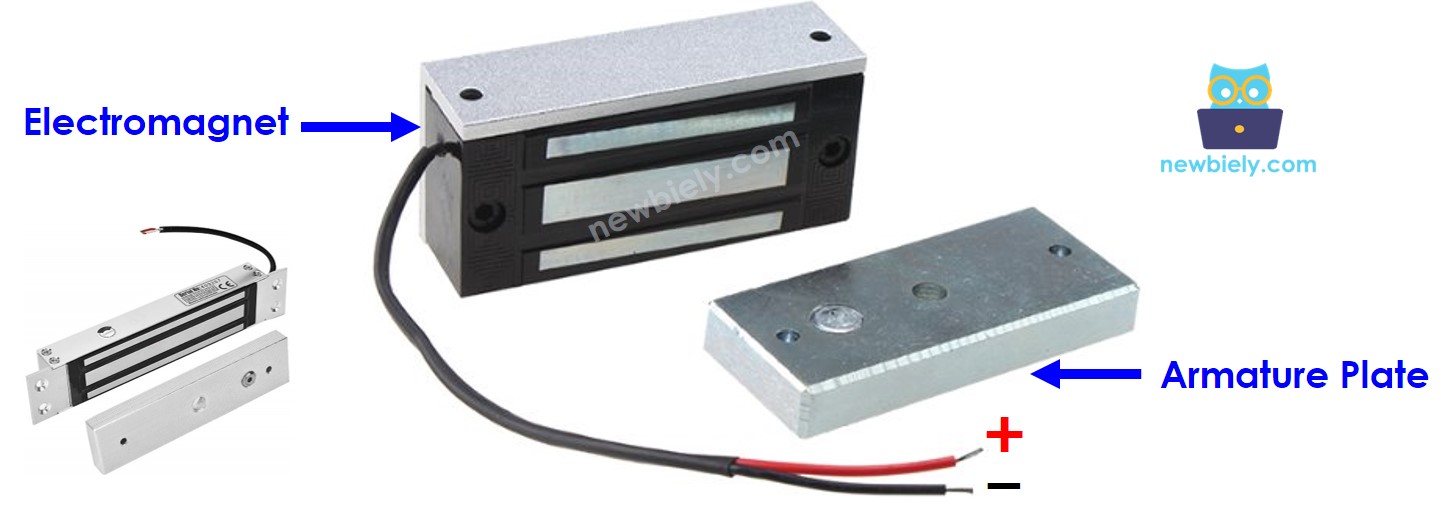Pinbelegung der elektromagnetischen Türverriegelung