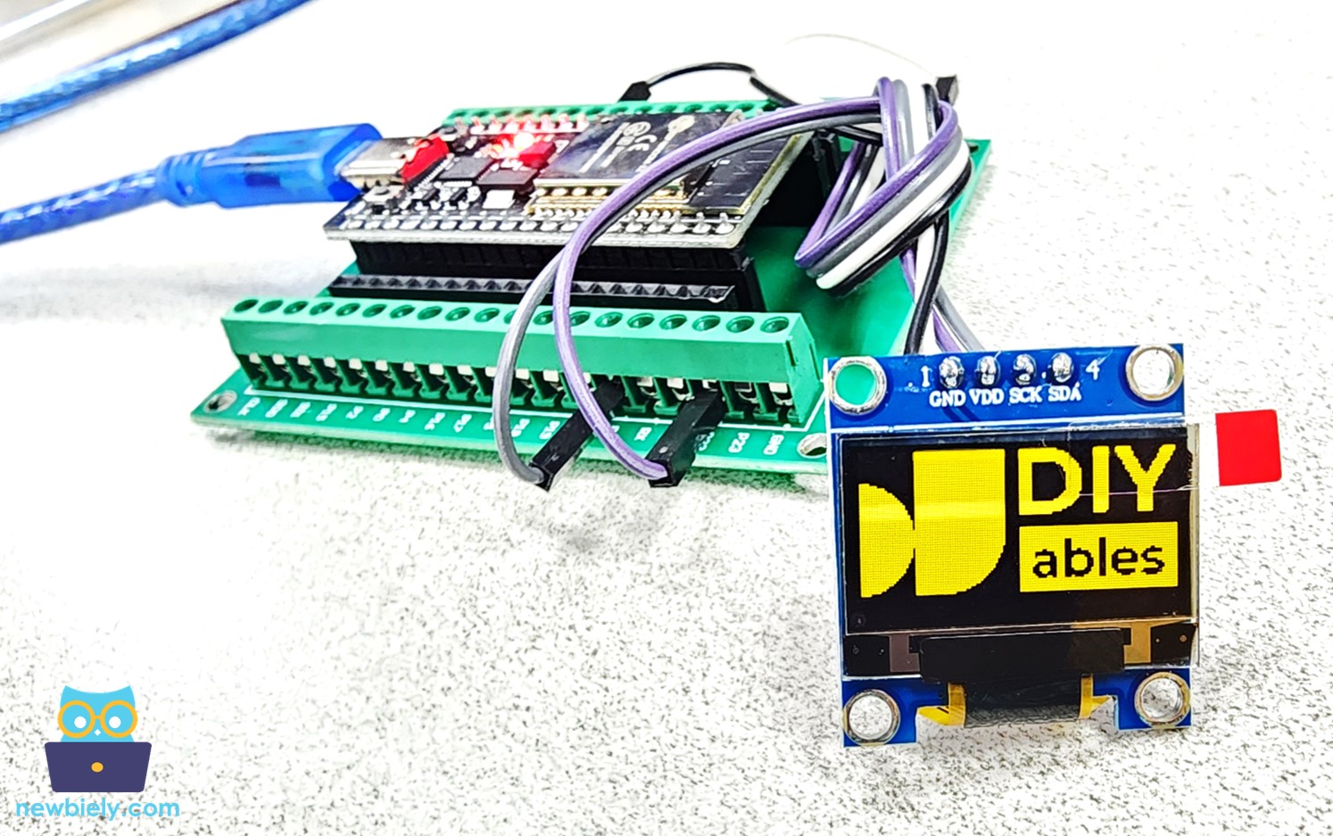 ESP32 zeigt ein Bild auf dem OLED an.