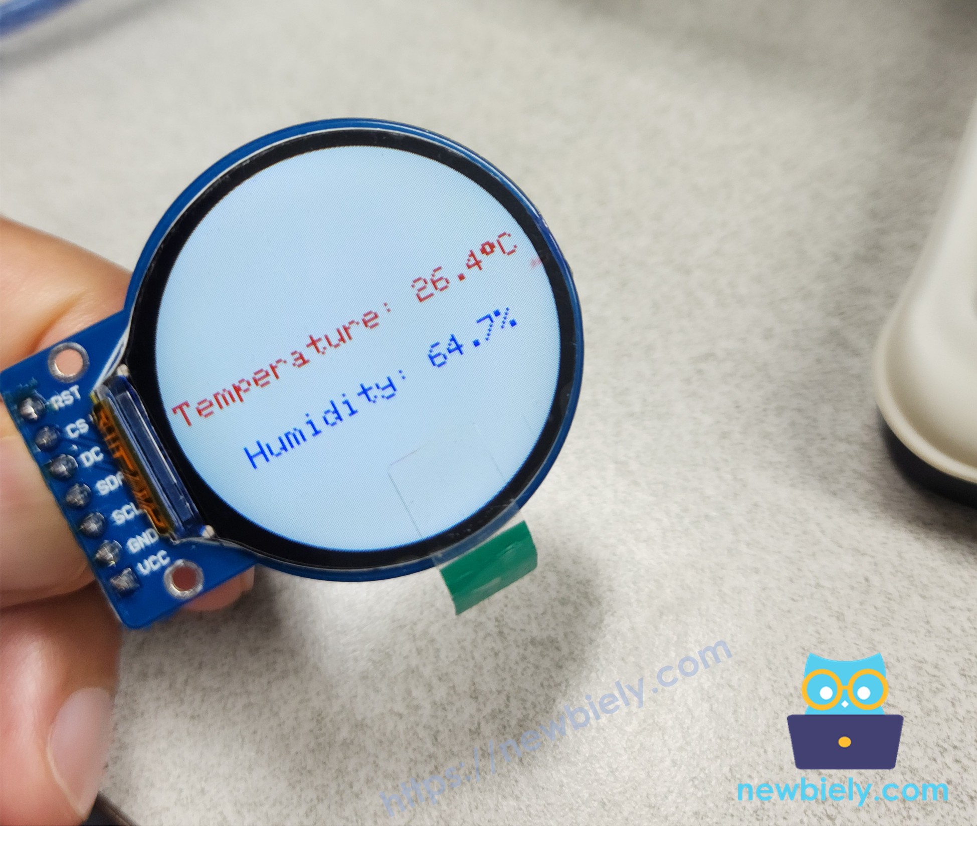 ESP32 rundes TFT-LCD-Display zeigt Text und Zahl