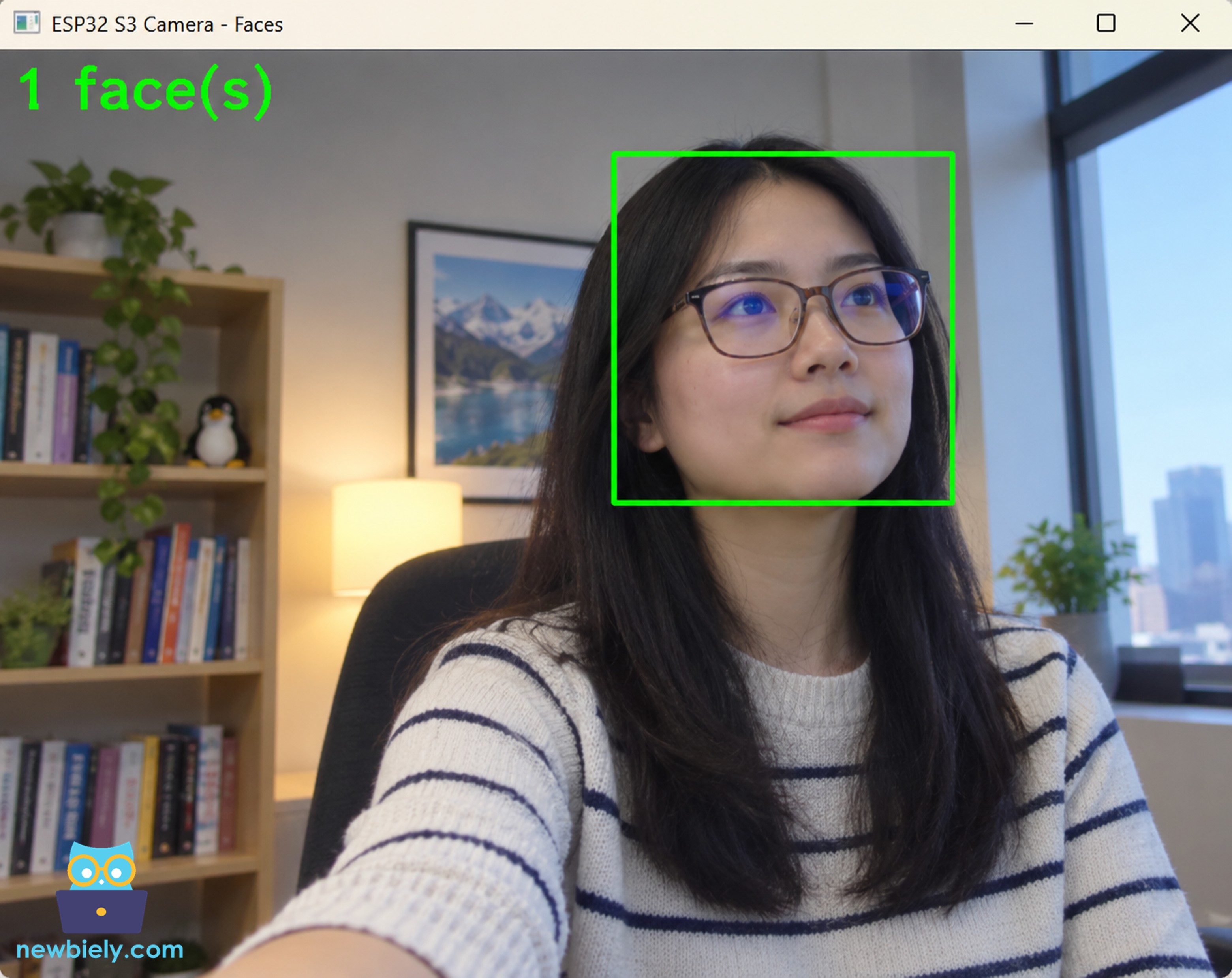 ESP32 S3 Kamera Gesichtserkennung in Python