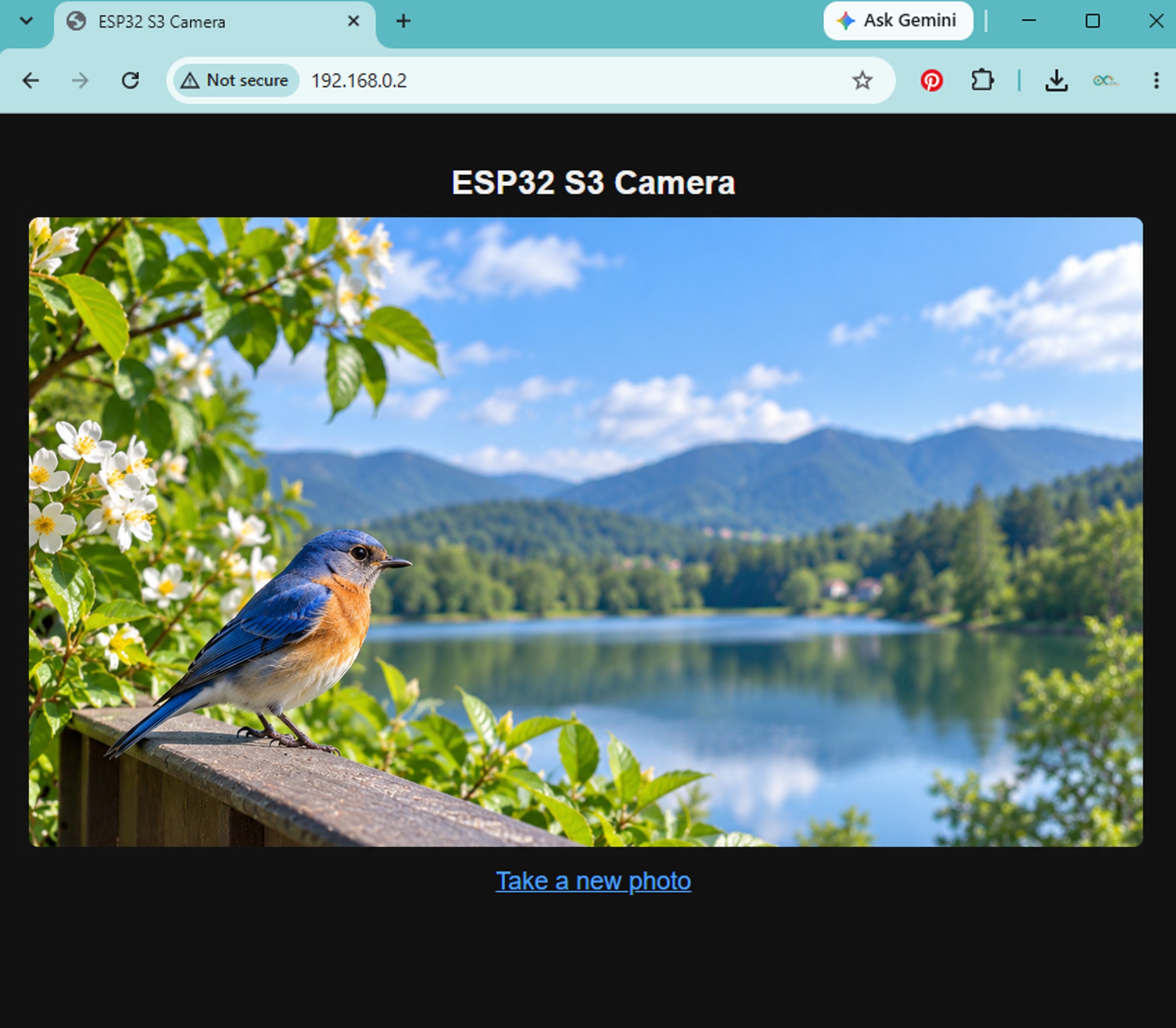 ESP32 S3 Kamera Foto im Webbrowser
