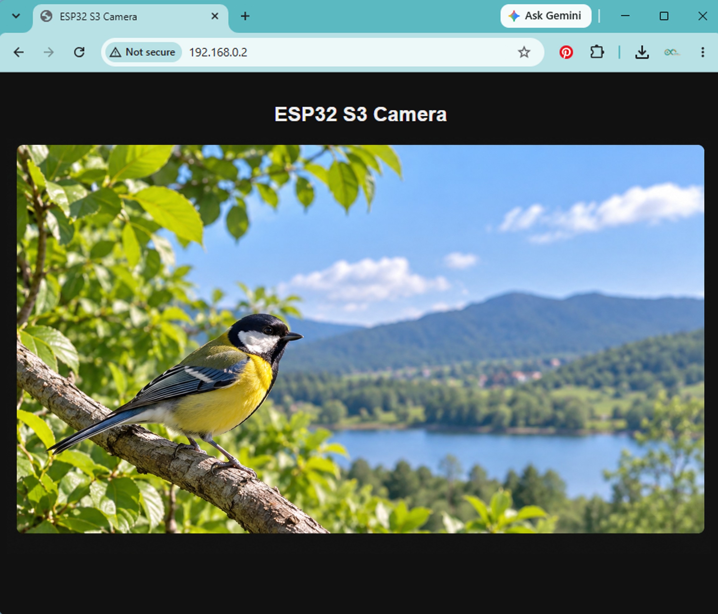 ESP32 S3 Kamera Live-Video im Webbrowser