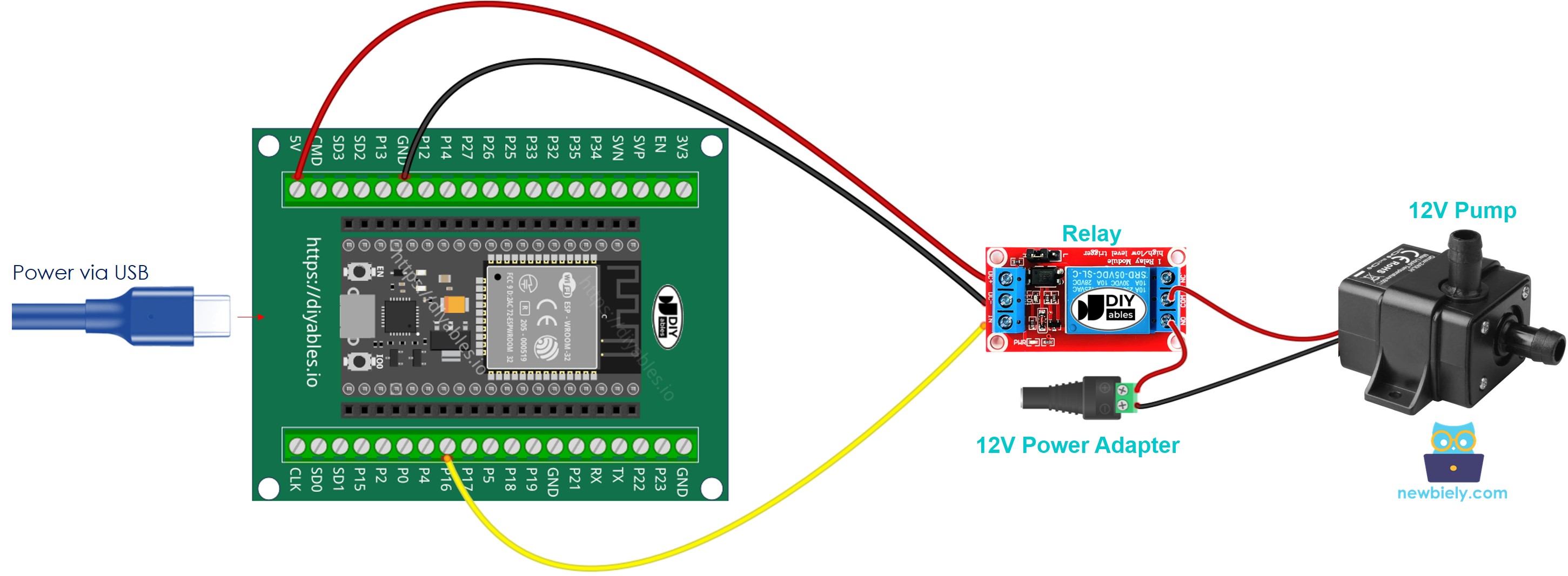 Wie man den ESP32 anschließt und die Pumpe steuert.