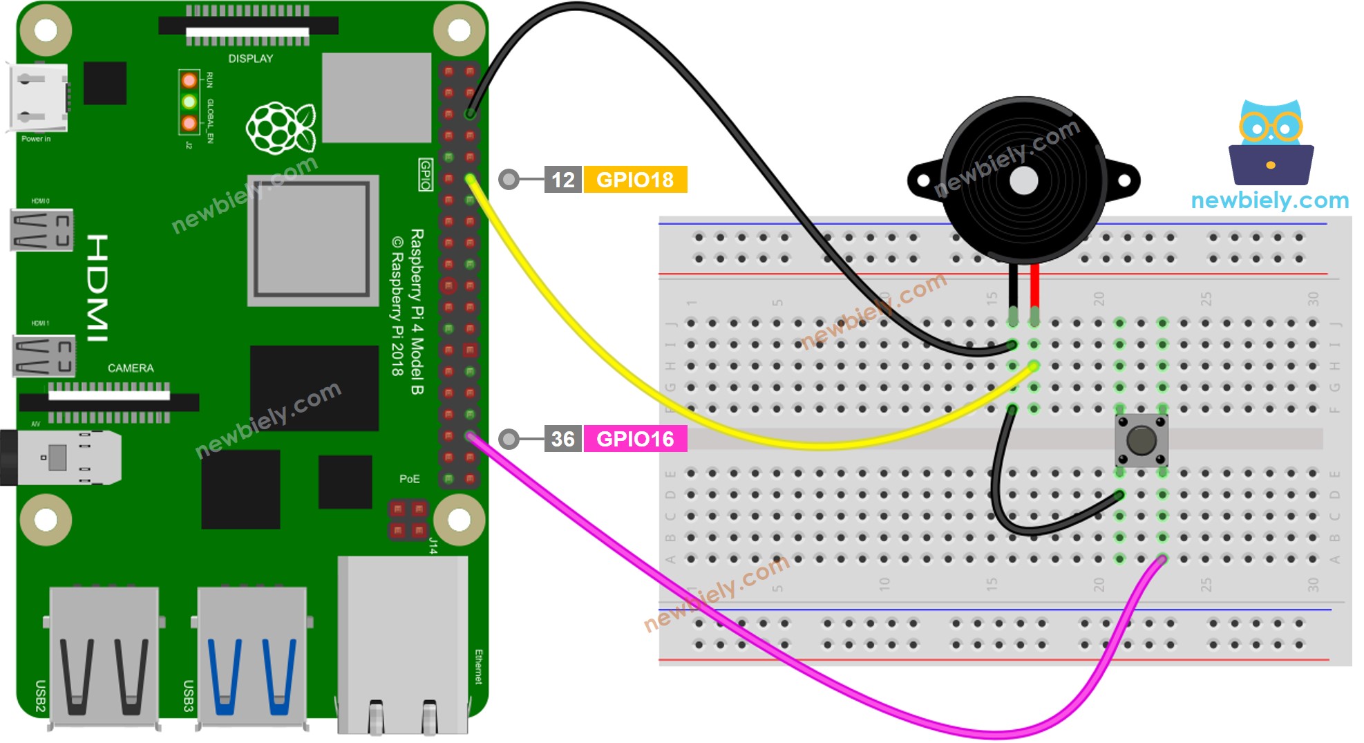 Raspberry Pi Taster Piezo-Buzzer Verdrahtungsdiagramm