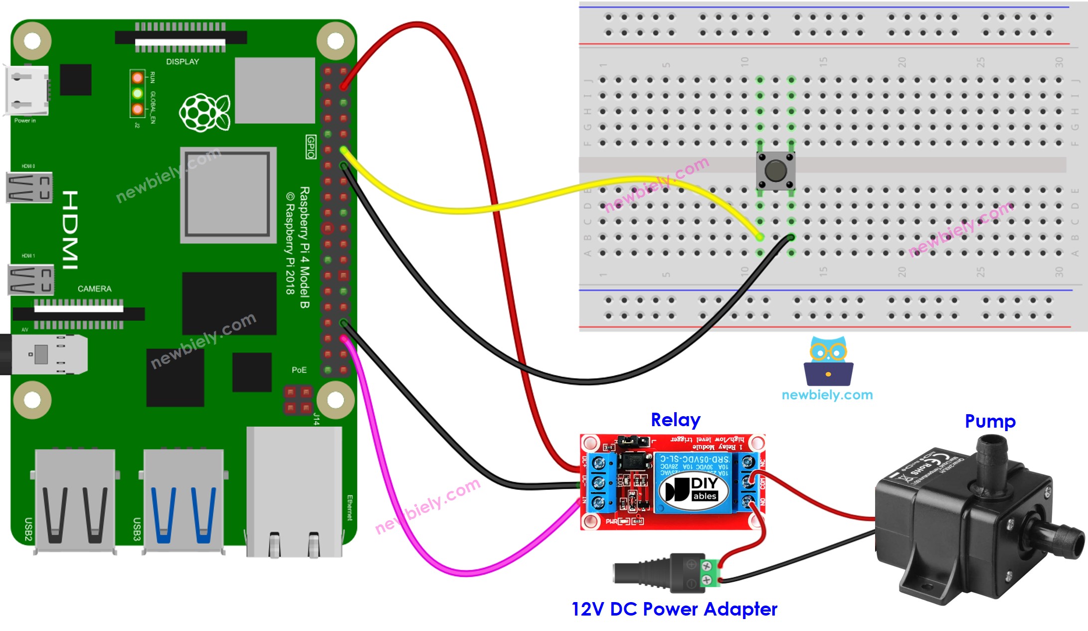 Raspberry Pi-Taster steuert Pumpe – Schaltplan der Pumpenverdrahtung