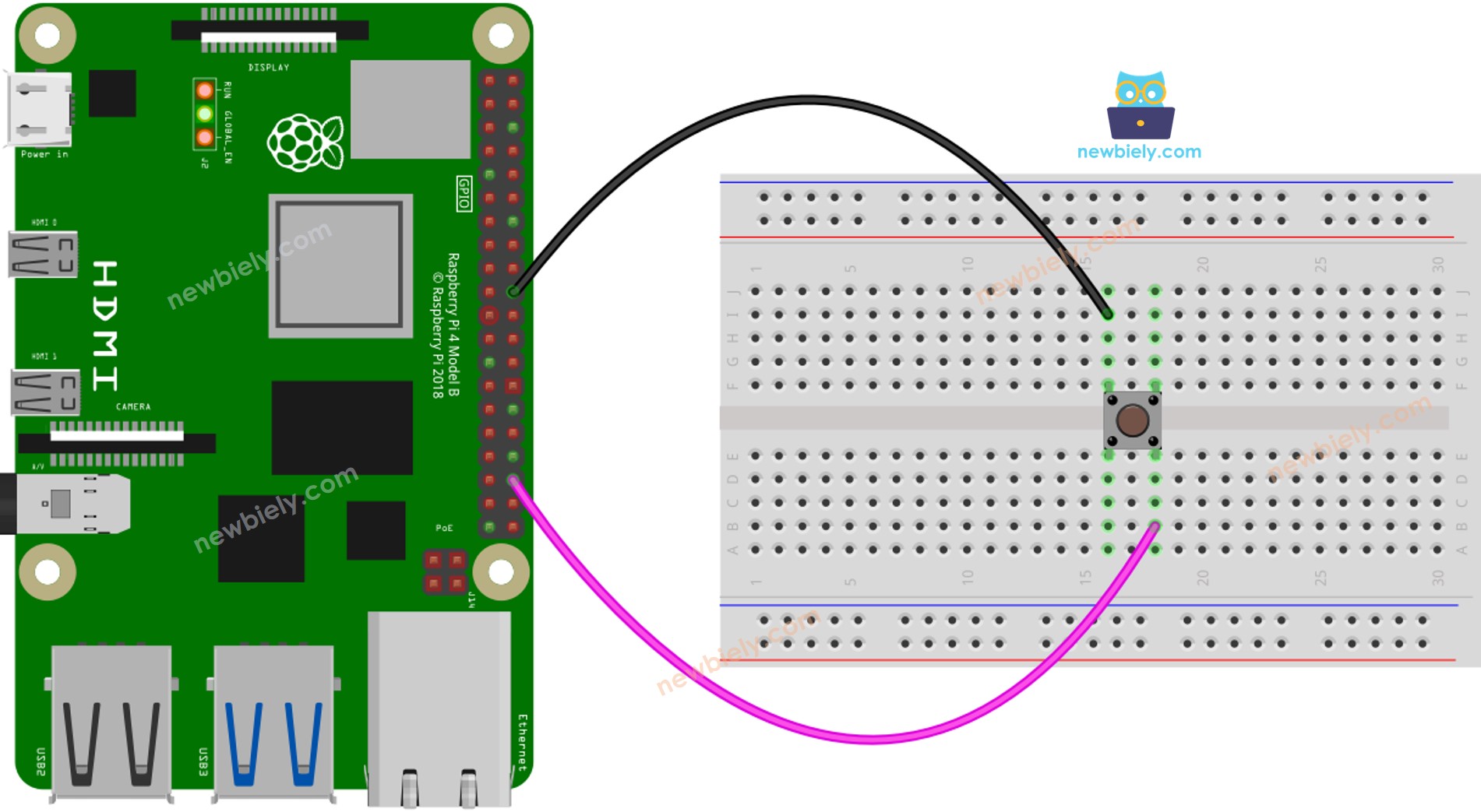 Verdrahtungsdiagramm für Raspberry Pi-Taster