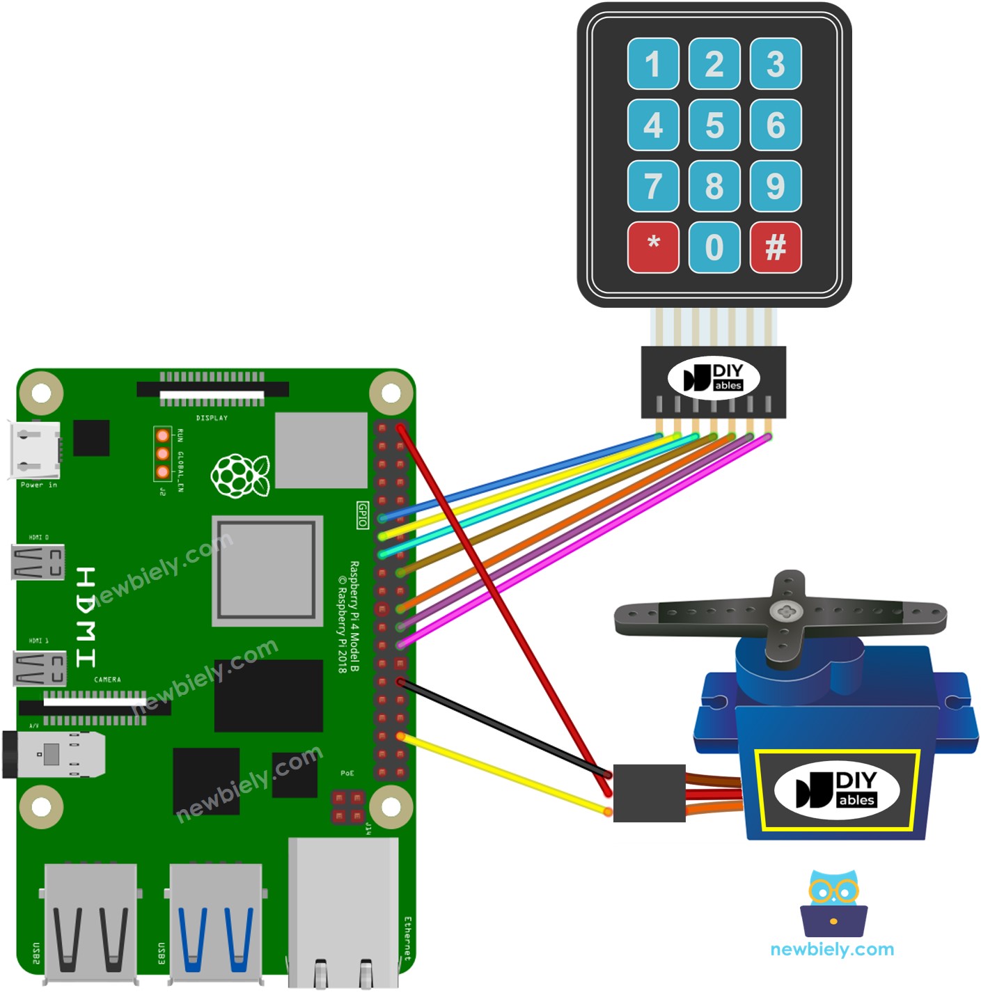 Raspberry Pi keypad servo motor wiring diagram