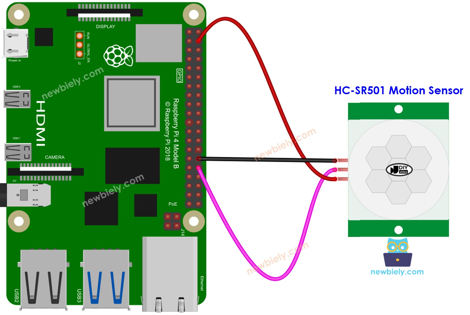 Raspberry Pi Motion Sensor wiring diagram