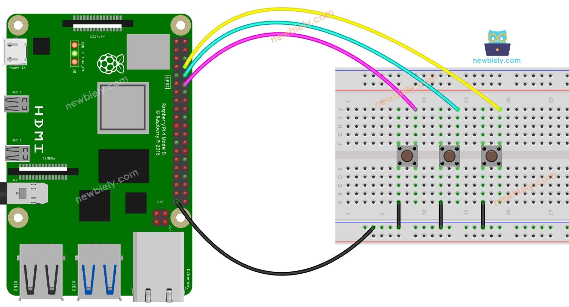 Raspberry Pi Button-Bibliothek Verdrahtungsdiagramm