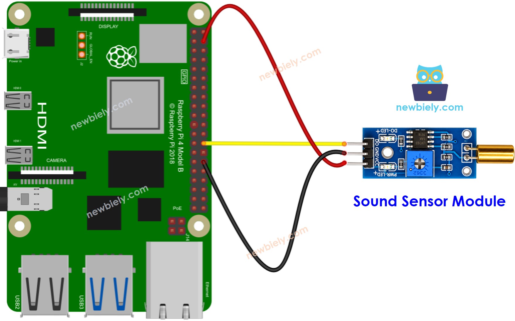 Raspberry Pi SW520D Tilt Sensor Wiring Diagram