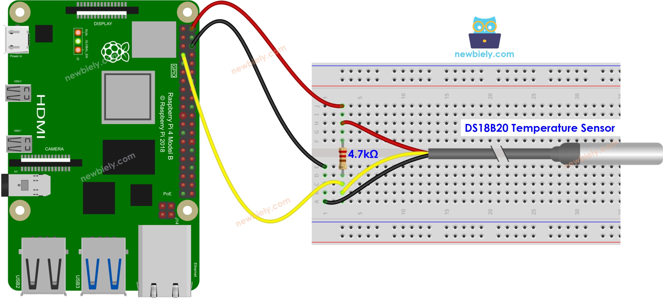 Raspberry Pi temperature sensor wiring diagram