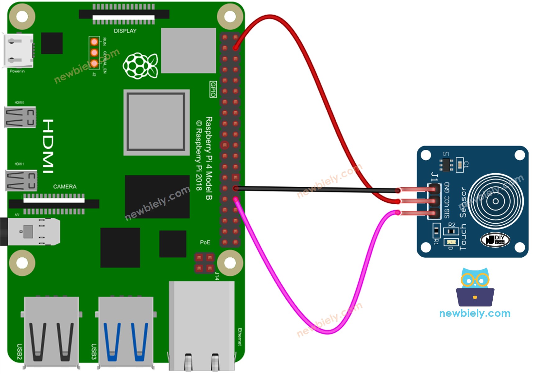 Raspberry Pi Touch Sensor wiring diagram