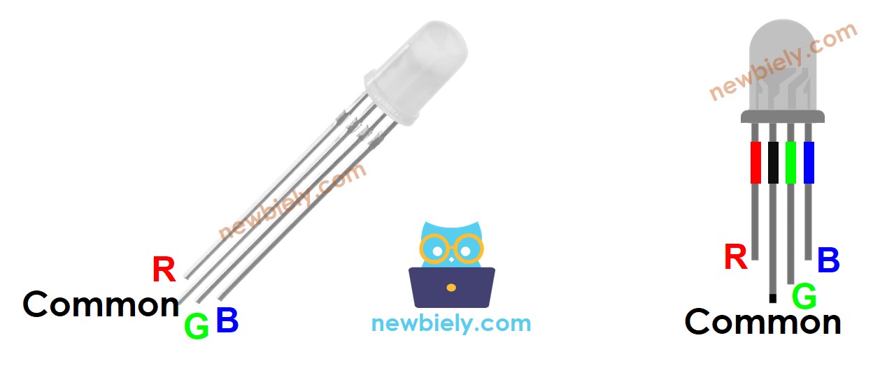 RGB-LED-Pinbelegung